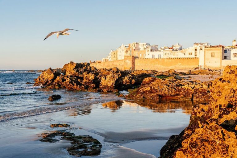 Day Trip to Essaouira
