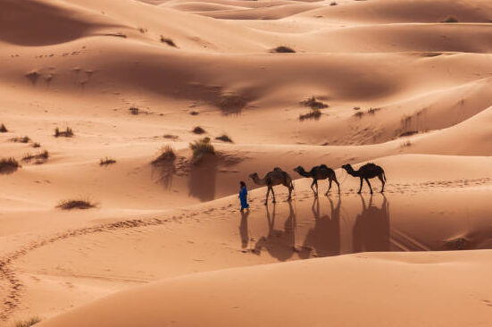 A Morocco Tour