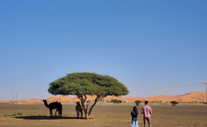 Trip in Morocco