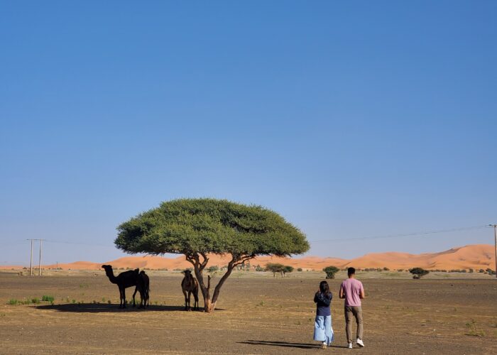 Morocco Trip