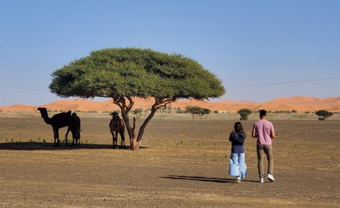 A 7 Day Morocco Tour