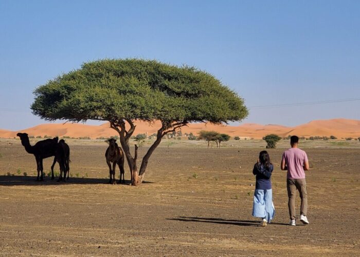 A 7 Day Morocco Tour