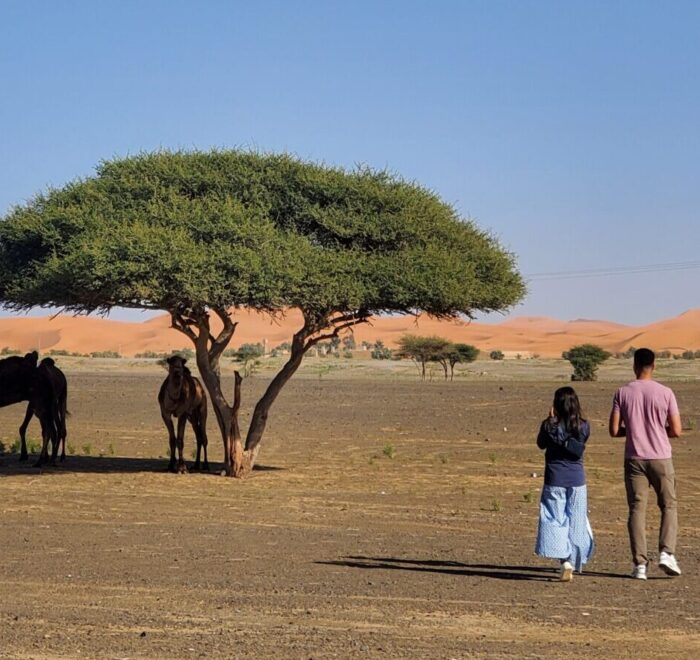 7 Days Morocco Tour