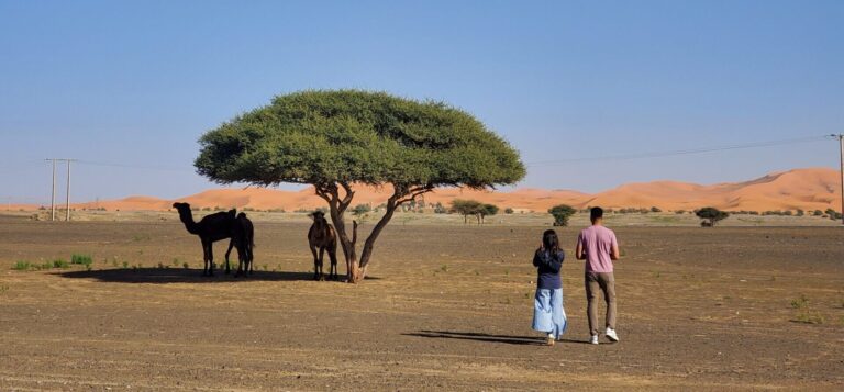 7 Days Morocco Tour