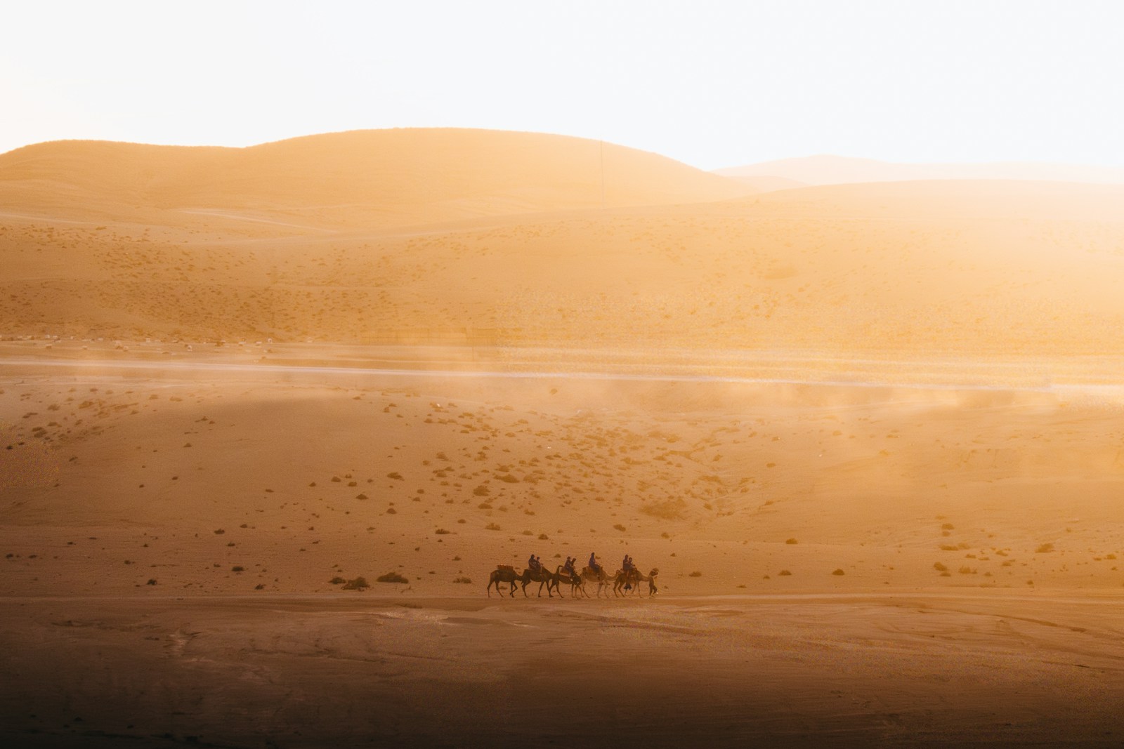 Agafay Desert Packages: Quad Biking, Camel Rides & Dinner Shows from Marrakech