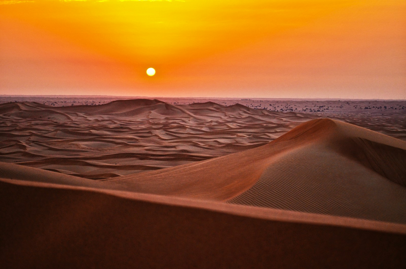 Ultimate Guide to Sahara Desert Tours and Camel Treks in Morocco