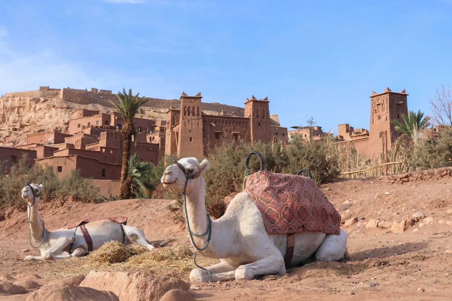 3-Day Desert Tour from Marrakech to Merzouga: Sahara Camel Trek, Kasbahs & Atlas Mountains