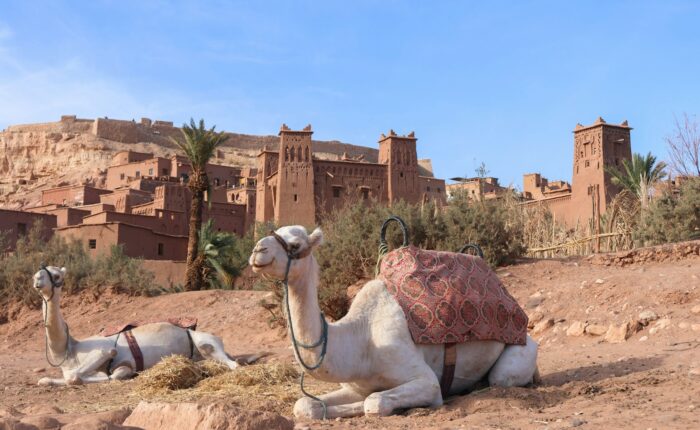 3-Day Desert Tour from Marrakech to Merzouga: Sahara Camel Trek, Kasbahs & Atlas Mountains