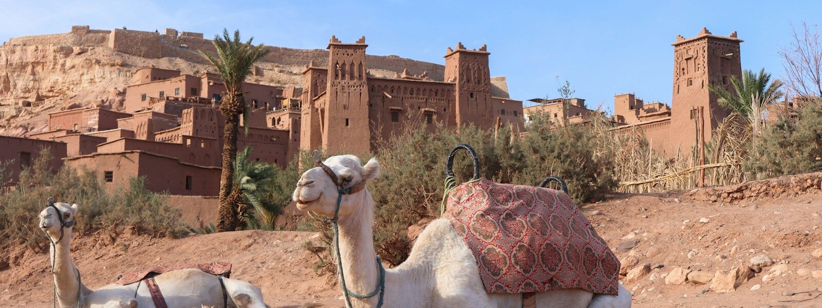 12 days Morocco tour