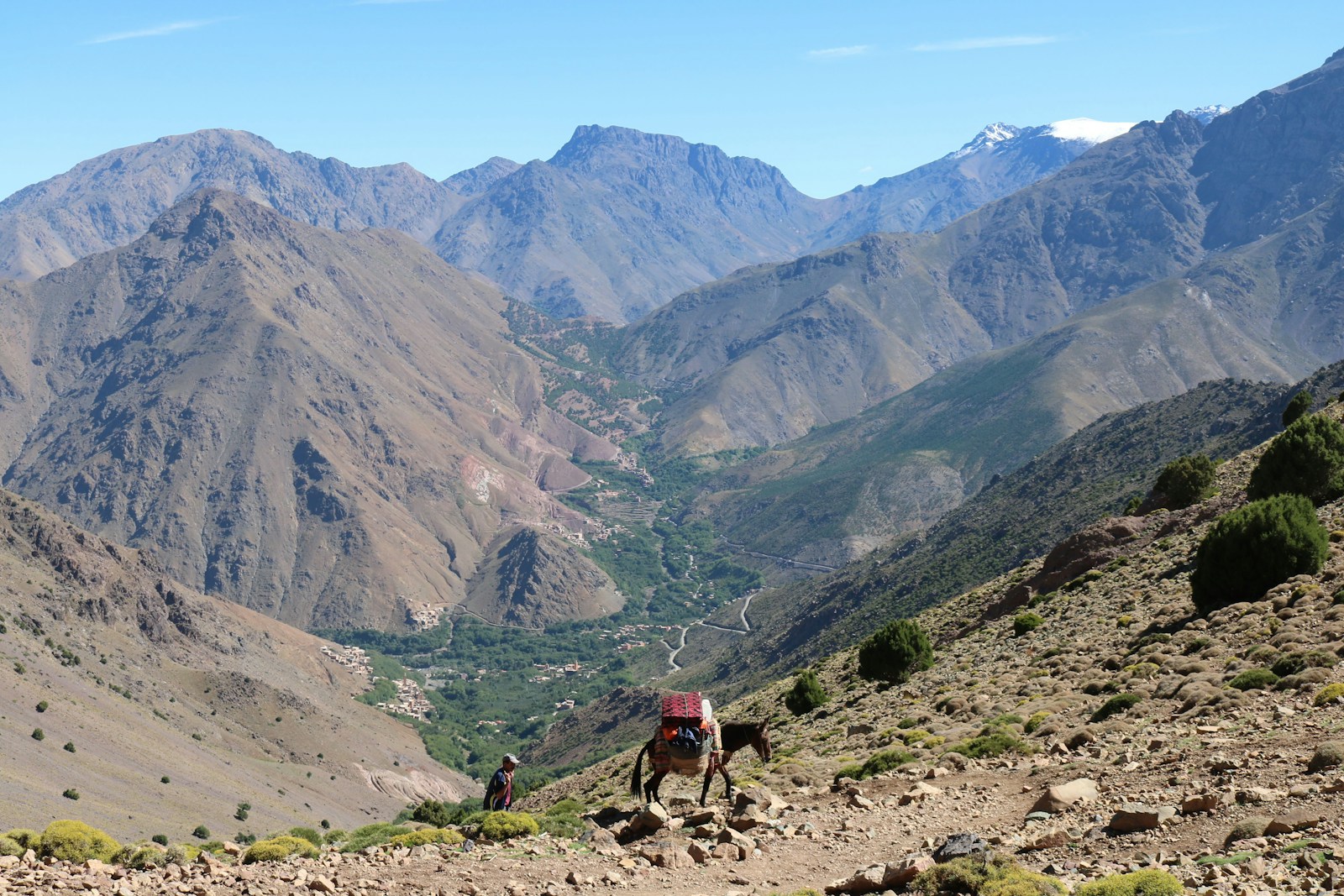 Atlas Mountains day trips from Marrakech with scenic valleys, mountain views, and camel rides.