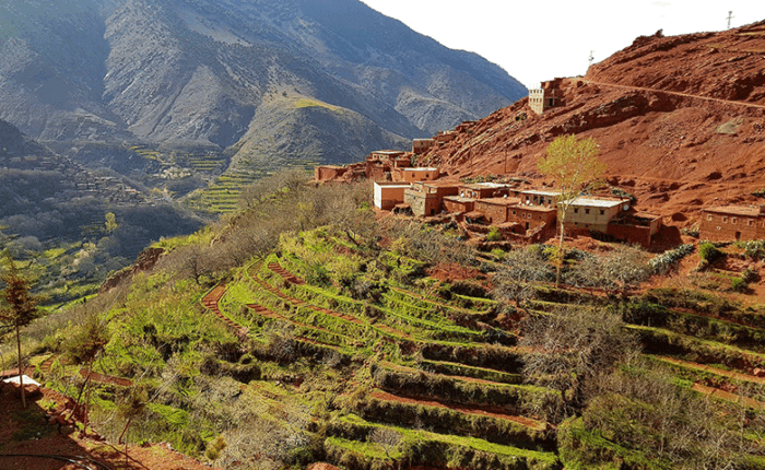 a day trip to the High Atlas