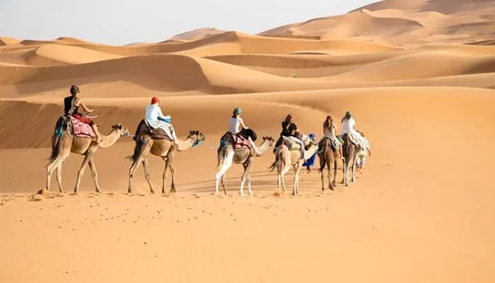A 3 day Desert tour from Marrakech
