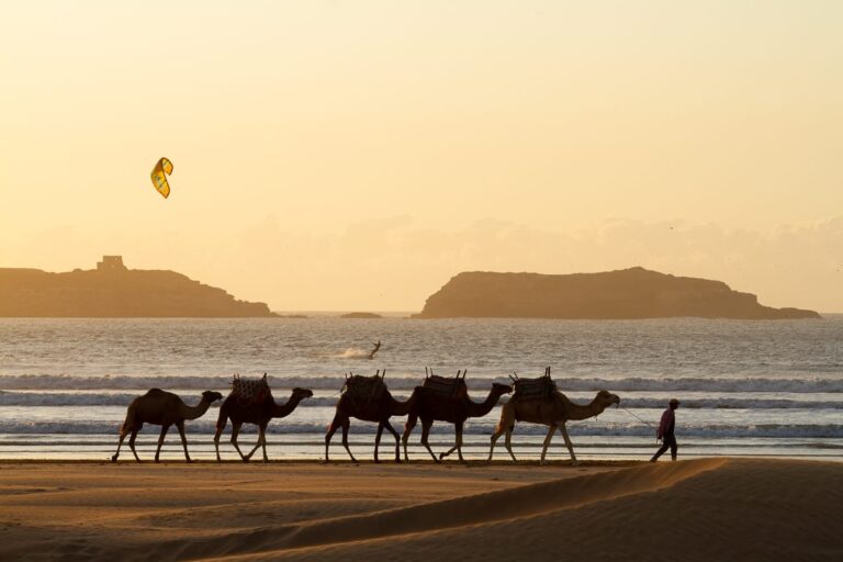 6-Day Morocco Atlantic Coast & Imperial Cities Tour