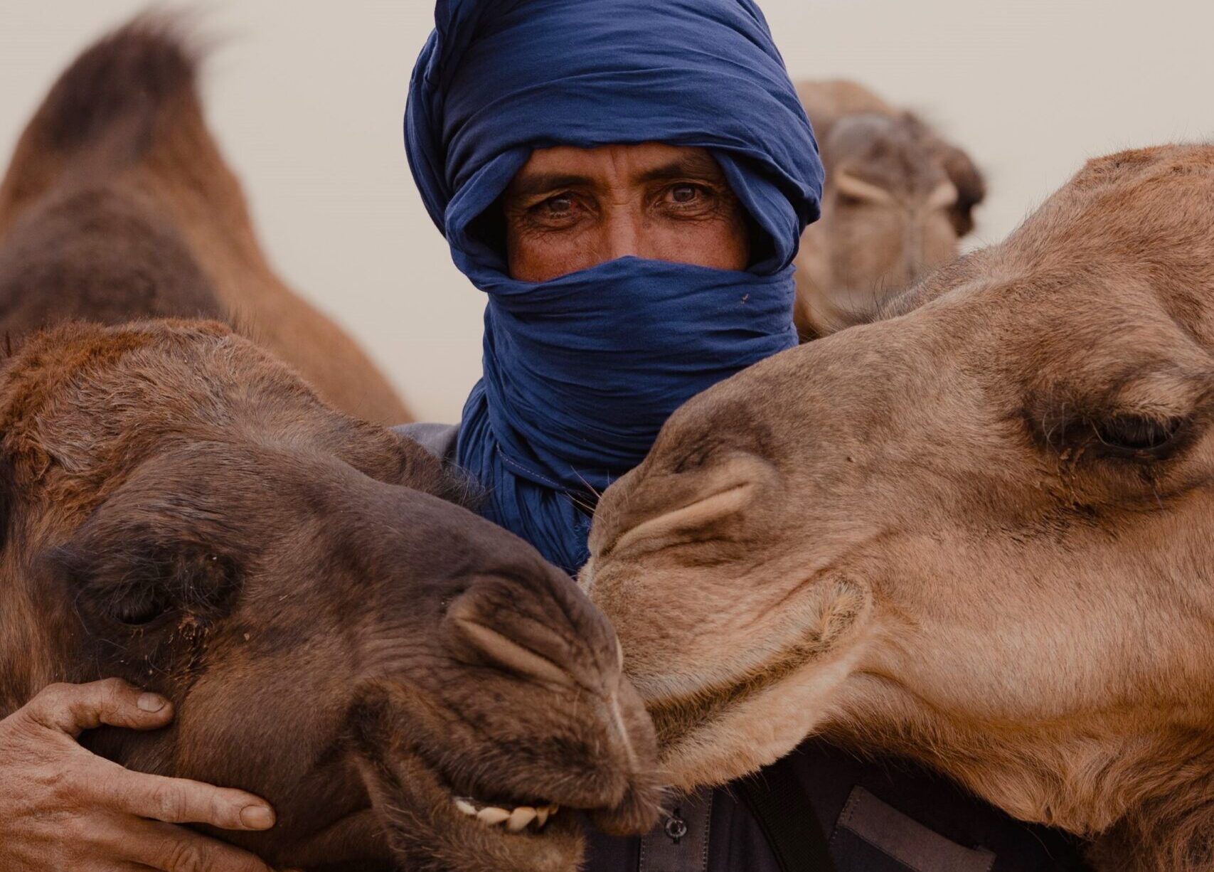 How to Get from Marrakech to Merzouga