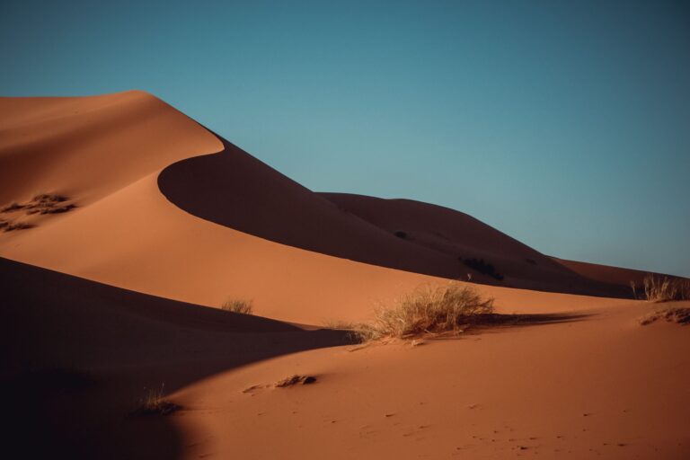 3 Day Luxury Desert Excursion from Marrakech to Fes