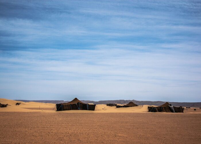 2-Day Budget Overnight Desert Tour: Marrakech to Zagora