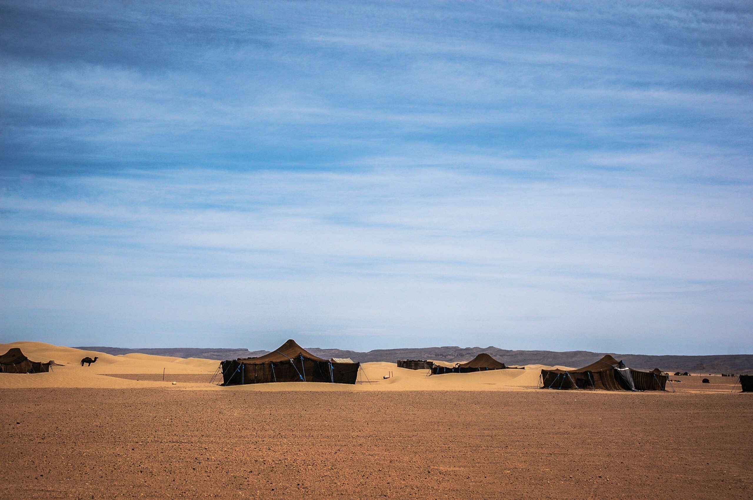 2-Day Budget Overnight Desert Tour: Marrakech to Zagora